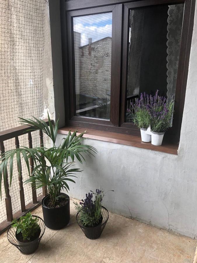 Kamieniczka 12 Apartamenty Częstochowa Екстериор снимка